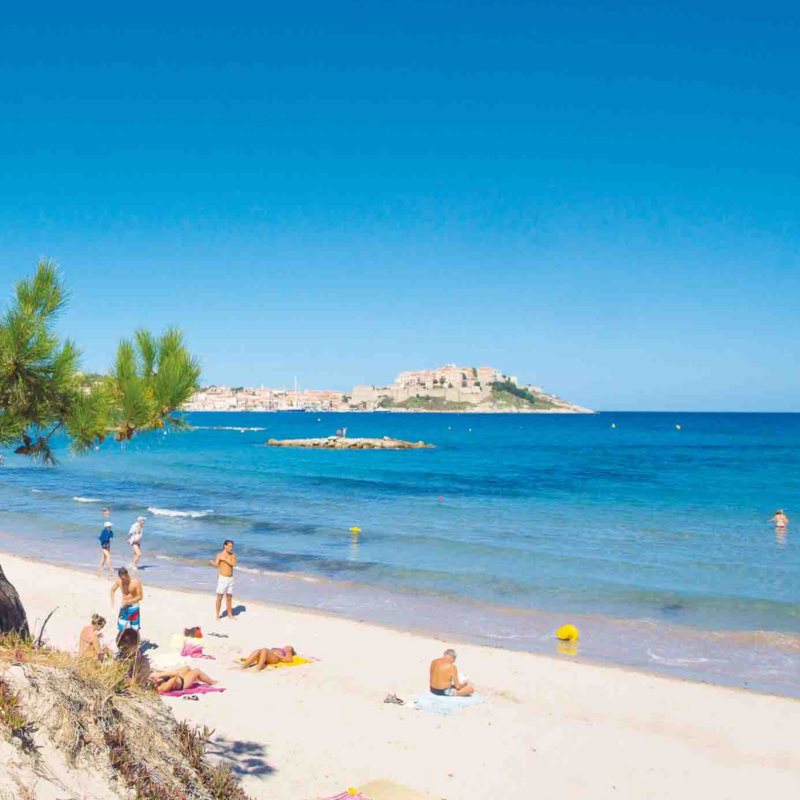 Beach with people at blue water and a green tree.