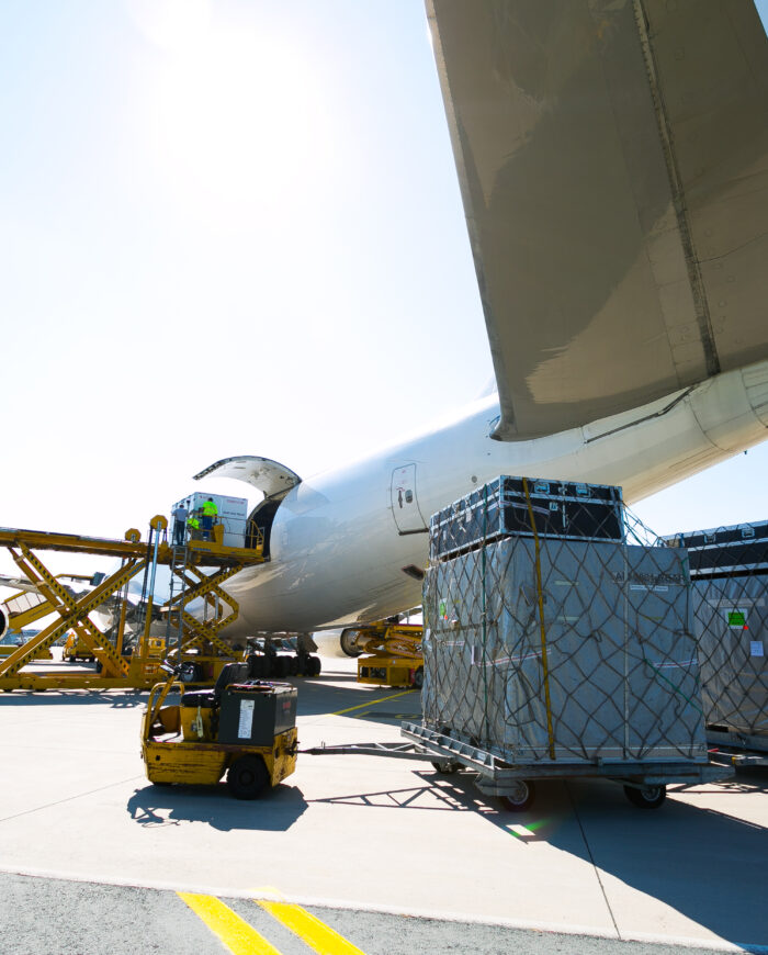 Frachtflugzeug mit Paletten von hinten